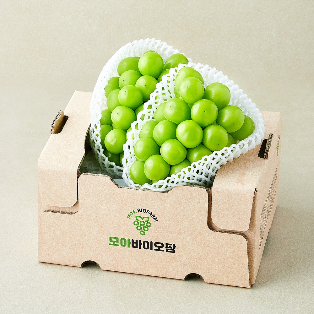 아주마 산지직송 머루포도, 1개, 1.5kg