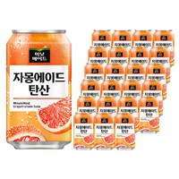 미닛메이드 자몽에이드 탄산 355ml 24개