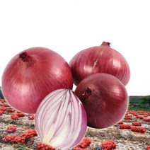 황토나라 자색양파 (2022년 햇양파), 1박스, 10kg