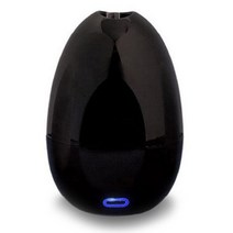 Link 개인/탁상용 UV 칫솔살균기 Bobo, 블랙(Black), L-S200