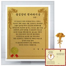 럭키심볼 크리스탈 감사패 8G 물심양면 뒷바라지상 + 24K골드 카네이션 전자파 스티커
