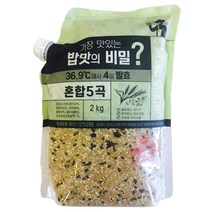 4일발효메밀쌀 인기 순위 TOP50 상품을 발견하세요