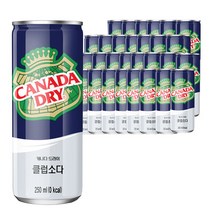 코카콜라 캐나다 드라이 클럽소다, 250ml, 30개