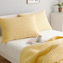 쉬즈홈 베이직피그먼트 베개커버 2p