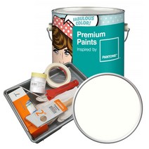 노루페인트 팬톤 내부용 실내 벽면 무광 페인트 세트, 11-0103 Cream White, 4L