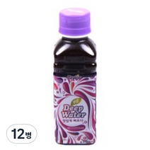 테일러 푸룬 딥워터, 180ml, 12병