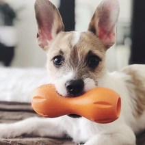 웨스트포우 퀴즐 노즈워크 훈련용 강아지 장난감 S, 오렌지, 1개