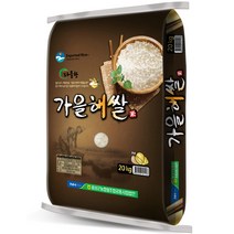 음성군농협 22년햅쌀 가을해쌀 백미, 20kg(상등급), 1개