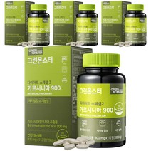 그린몬스터 다이어트 스폐셜2 가르시니아900, 100.8g, 4개
