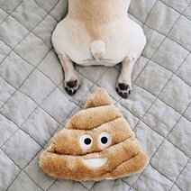 지피포우즈 애견 장난감 뿡뿡이 놀자, 응가, 1개