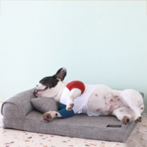 페트 범퍼 반려동물 사각방석, 퓨터그레이