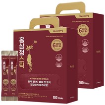 비타민마을 프리미엄 6년근 홍삼정 스틱 100p, 2개, 1000g