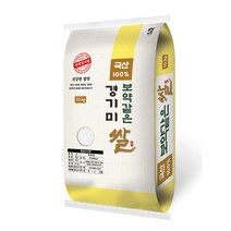 대한농산 보약같은 경기미 상등급, 1개, 10kg