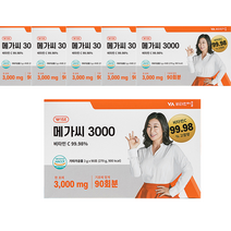 비타민마을 메가씨 3000 비타민C 분말 스틱, 270g, 6개