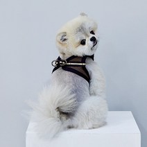 리얼펫 4계절슬림 조끼하네스, BROWN