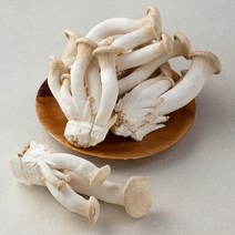 친환경 인증 국내산 머쉬마루 버섯, 600g, 1팩
