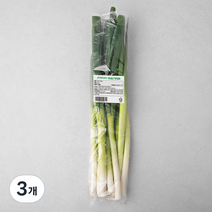 국내산 깐대파, 500g, 3개