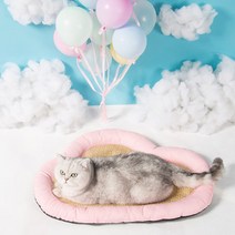 마브 강아지 고양이 구름 쿨방석, 핑크