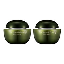 참존 참쑥 크림, 2개, 225ml