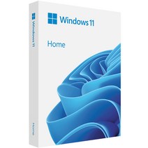 마이크로소프트 윈도우10 홈 FPP 처음사용자용, KW9-00246
