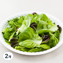 팜에이트 무농약 인증 유러피안 소프트 샐러드, 130g, 2개