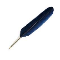 제이허빈 깃털펜, 0.3mm, 네이비