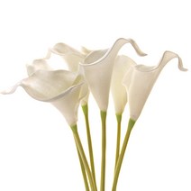 리버그린 조화 카라가지 6개묶음, 화이트