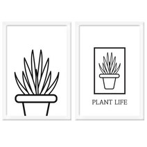 꾸밈 투명 아크릴 액자 블랙 화분 2p, 화이트