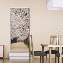 꾸밈 현관문 시트지, 걷고 싶은 벚꽃길