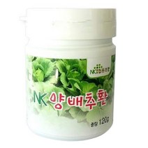 NK협동조합 양배추환, 1개, 120g