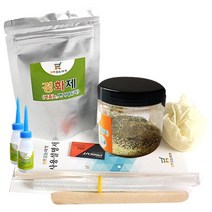 셀프줄눈마켓 벽면용 셀프 줄눈 코팅제 홀로그램골드 100g, 1세트