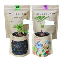 틔움세상 그림봉투화분 스위트바질 + 봉선화 키우기 세트, 1세트