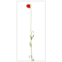 꾸밈 곧은 꽃 한 송이 현관문 방문 시트지, 혼합 색상