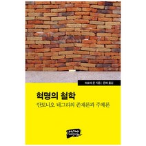 혁명의 철학: 안토니오 네그리의 존재론과 주체론, 난장, 히로세 준 저/은혜 역