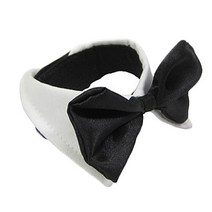 에이프릴16 반려동물 코튼 나비넥타이 M, 화이트, 1개