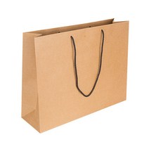 동성지공사 왕중 무지 크라프트 쇼핑백 3p, 베이지색