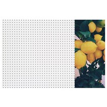 앤비커머스 인테리어 타공판 레몬나무 우 WHITE, 1개