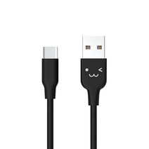 ELECOM 2A USB C타입 데이터 케이블 2.0m EK-2CAC20BK, 블랙, 1개