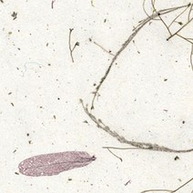 한지로 상록수 636 x 939 mm, 03, 25개입