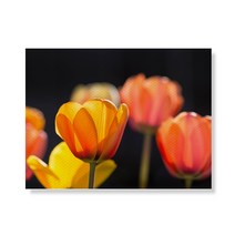 리틀하이커 flower 캔버스액자A3W35 13