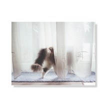리틀하이커 Cat 캔버스 프린팅 액자 A3W36 36
