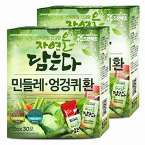 굿허브 조은약초 자연을 담는다 스틱형 민들레 엉겅퀴환, 2개입, 90g
