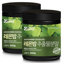 굿허브 프리미엄 레몬밤 추출분말, 300g, 2개입