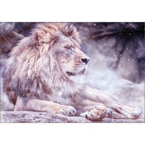 비엔퍼즐 라이온킹의 휴식 직소퍼즐 3181, 1000피스, 혼합 색상