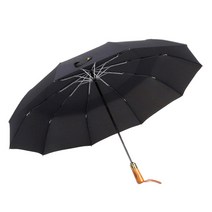 파라체이스 2중 캐노피 프리미엄 전자동 3단우산 #3236 튼튼한 이중방풍 무료 이니셜 각인