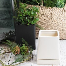 도시정원 모던 사다리꼴 화분, 화이트