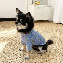 유앤펫 새콤달콤 강아지 티셔츠, 블루