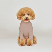 플로트 스탠다드 하프넥 강아지 티셔츠, 웜핑크