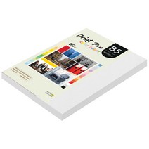 종이문화 프린트 프로 칼라 복사용지 No 30 스노우화이트 80g, B5, 170개