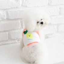 이츠독 후르츠 크롭 나시, 네온오렌지